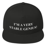 Very Stable Genius Cap - hat - The Resistance