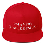 Very Stable Genius Cap - hat - The Resistance