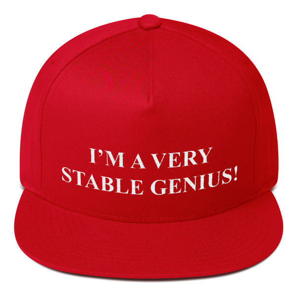 Very Stable Genius Cap - hat - The Resistance