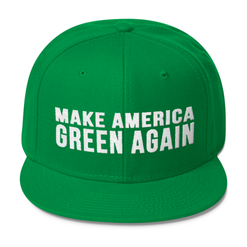 Make America Green Again Wool Blend Snapback Hat - Hat - The Resistance
